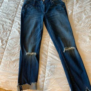 Hudson – Cropped Collin Skinny Jeans